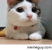 MRW my GF asks me if Im ready for kids