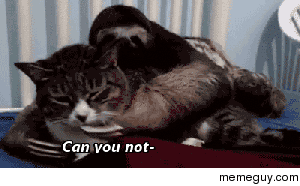 MRW My girlfriend wont stop crying about Greys Anatomy when Im trying to sleep