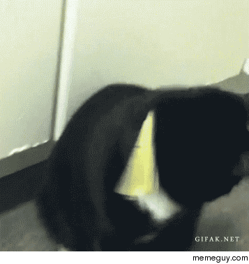 MRW my jam comes on