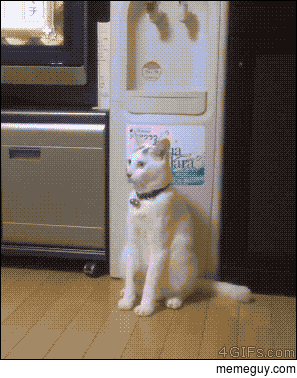 MRW My jam comes on