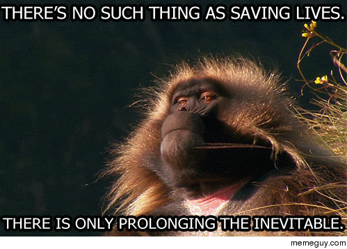 MRW my little brother tries to beat Pikmin  without losing any of his pikmin
