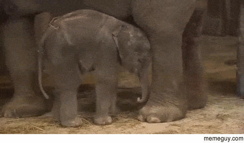 MRW my  month old daughter finally goes down for a nap after waking me up at am on Sunday morning