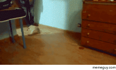 MRW my mum urges me to get up and do some work