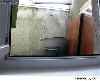 MRW my neighbors are arguing in front of my place