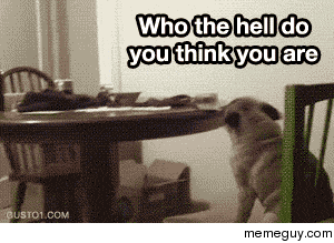 MRW my parents got on to me as a kid and then left the room