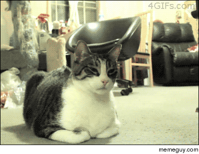 MRW my roommate tries to cook dinner