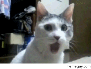 MRW my sister calls my mom a cunt