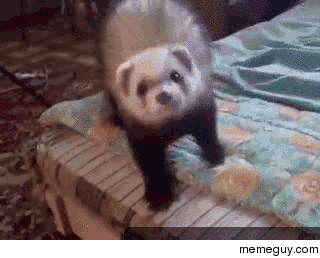 MRW My song comes on