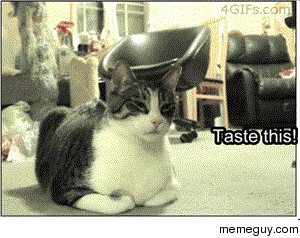MRW my vegetarian girlfriend tells me to try what she is eating while im eating meat