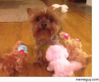 MRW my wife goes to the store and leaves me with the kids for  minutes
