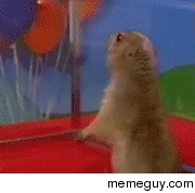 MRW my wife takes off her bra for the night