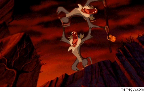 MRW people are making too many Rafiki gifs