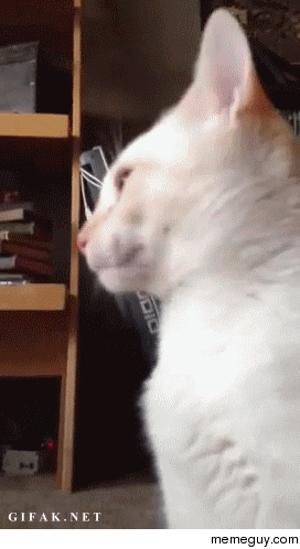 MRW she forgot to wash down there 