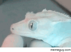 MRW she texts me first