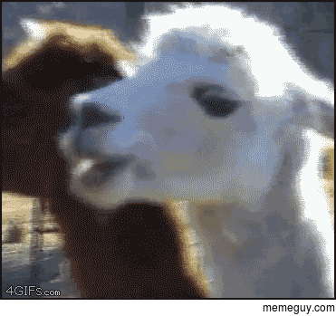 MRW somebody just realized its called afternoon because it happens AFTER NOON