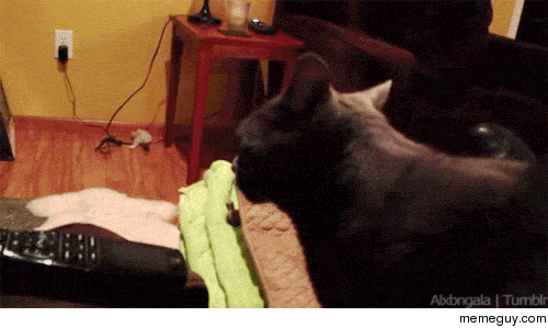 MRW someone behind me says my name