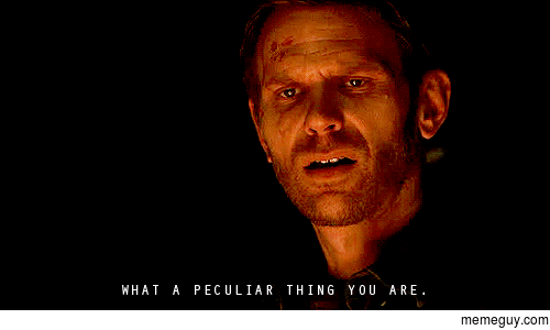 MRW someone is interested in me after  years of being single