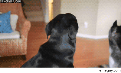 MRW someone says theres free food