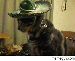 MRW someone speaks rapid Spanish at me because I look vaguely Mexican