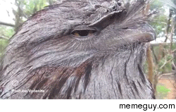 MRW someone tells me that I look good today
