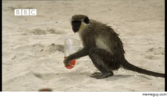 MRW someone tries to take away my drink because Ive had enough