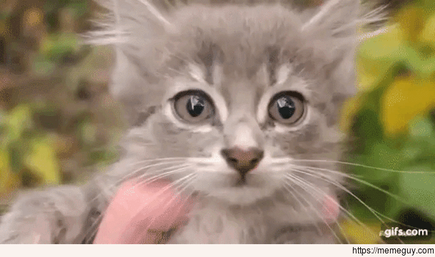 MRW someone wont break eye contact during a conversation