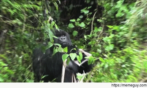 MRW the breakroom TV says the Coronavirus has quickly spread to all  of Chinas provinces