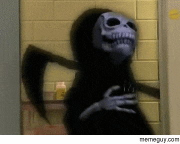 MRW the fly Im trying to get out of my room is too fast for me but flies directly into my dogs mouth