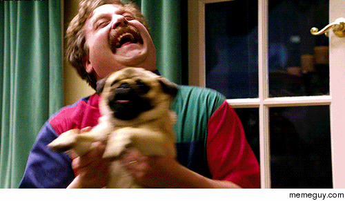 MRW the landlord says its ok if we get a small dog for the apartment