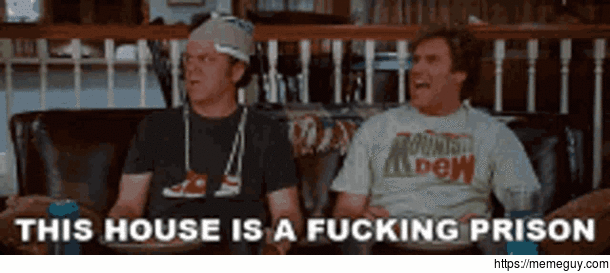 MRW this is the fourth day of my work from home quarantine