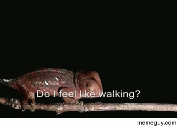 MRW Trying to walk when drunk