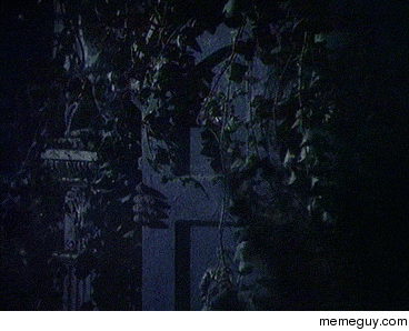 MRW we have guests and my mom asks me to come out of my room and say hello