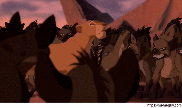 MRW we have Lightning Lane at Disney World