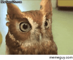 MRW when I hear a noise while watching a horror movie
