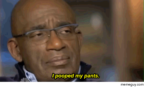 MRW when I saw a picture of Japanese Hornets