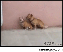 MRW when i try to have sex after heavy drinking