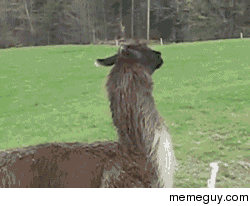 MRW When Im about to ask my crush for coffee
