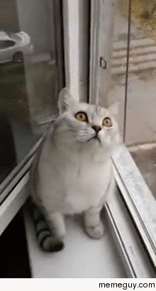 MRW when my SO makes me mad and she is trying to make me smile
