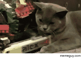 MRW when she just wants to snuggle