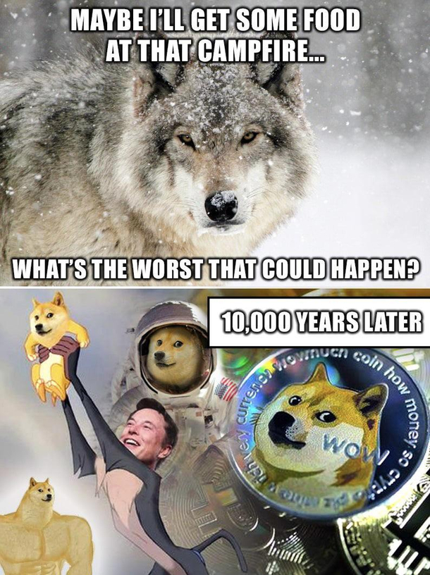 Much coin many crypto wow