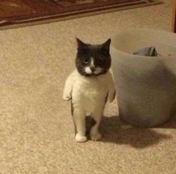 Mum Said Its My Turn On XBox