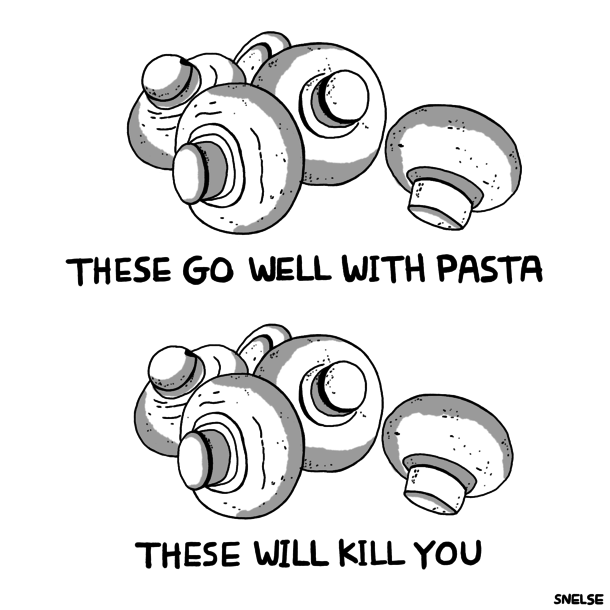 mushrooms by Steve Nelson
