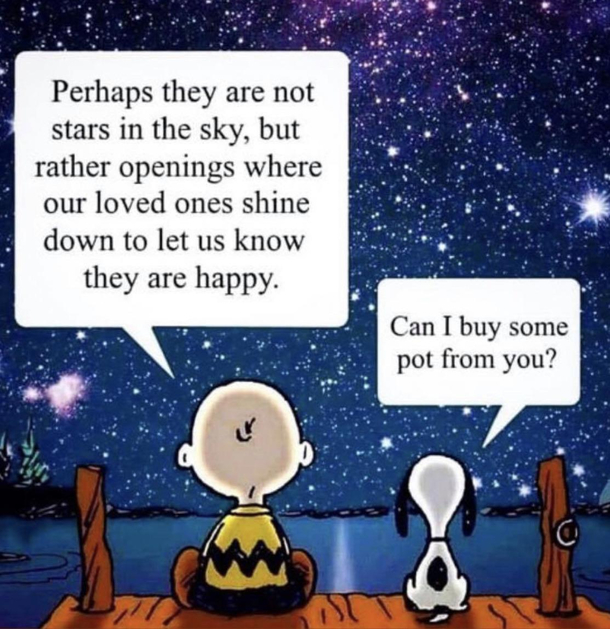 musings of a stoned Charlie Brown