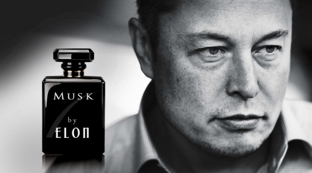 Musk by Elon Essence of Rocket Fuel Batteries and Progress