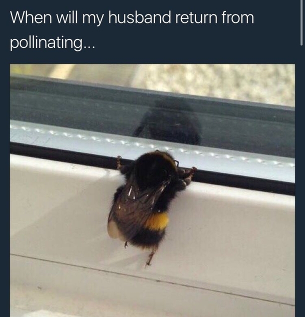 Must bee hard