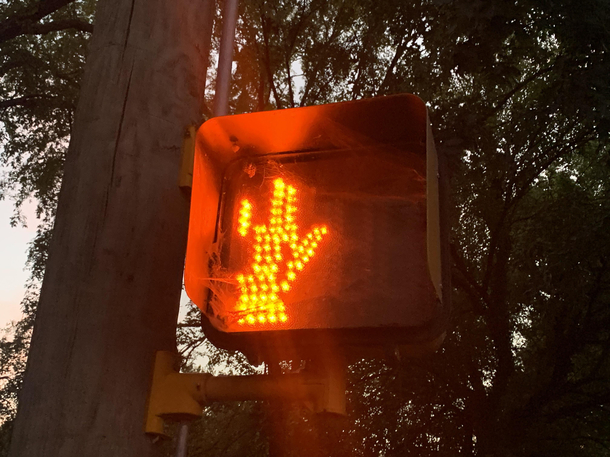 Must obey traffic signs