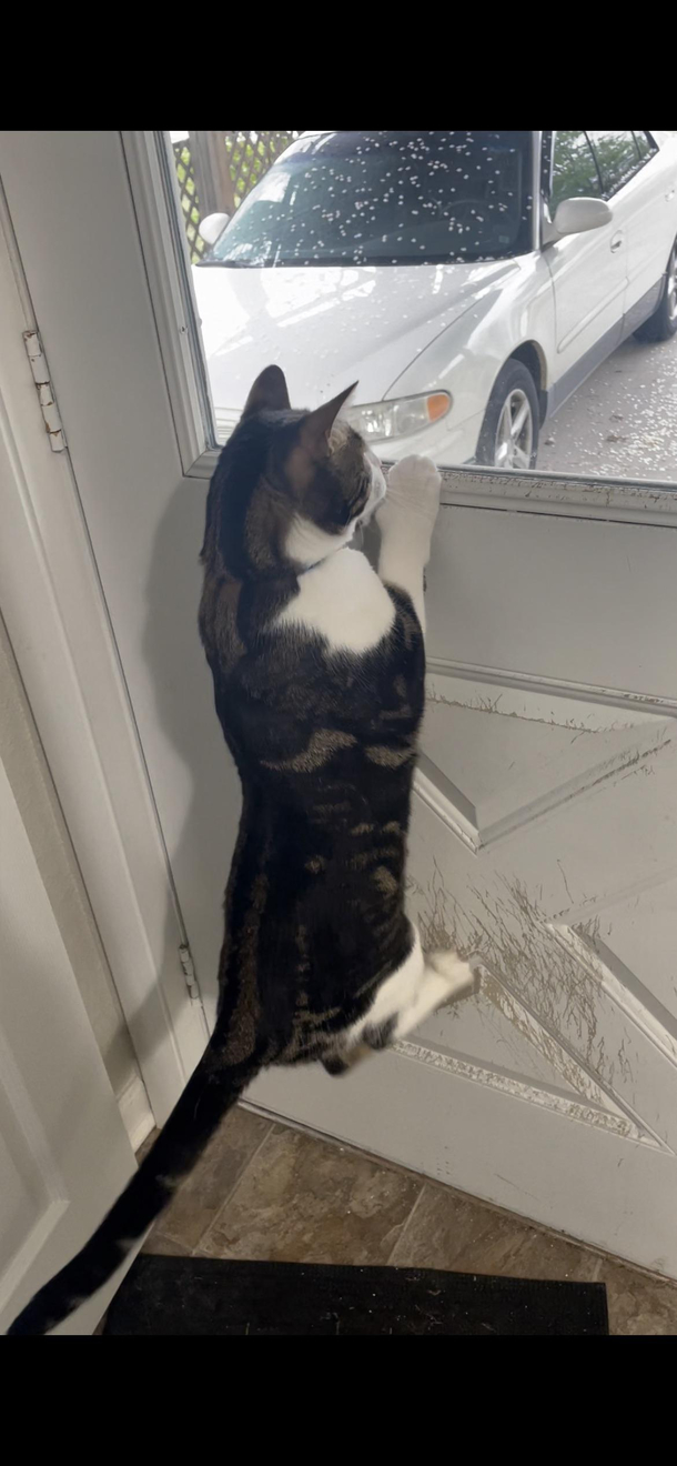 Must see out window