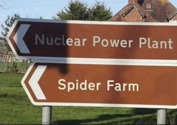 Mutant spiders anyone 