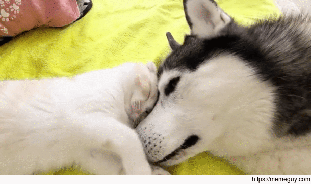 Mutual Feeling 