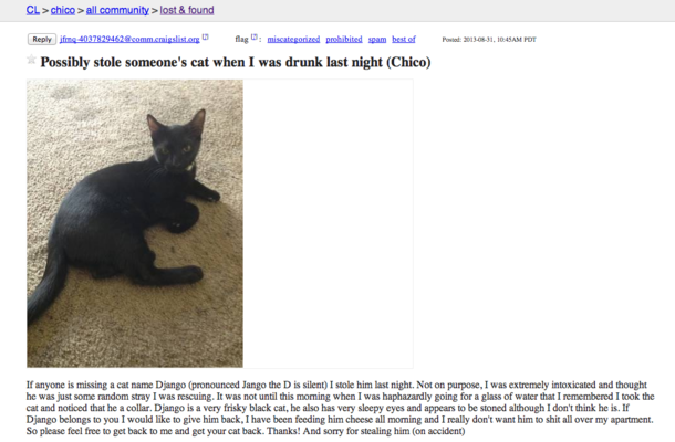 My alcoholic college town has an honest cat thief